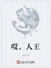 哎，人王封面