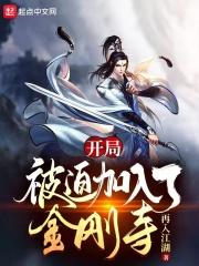 开局被迫加入了金刚寺封面