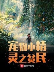 宠物小精灵之贫民封面