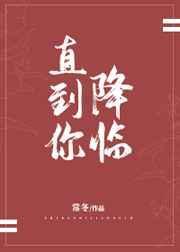 直到你降临封面