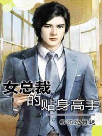女总裁的贴身高手封面