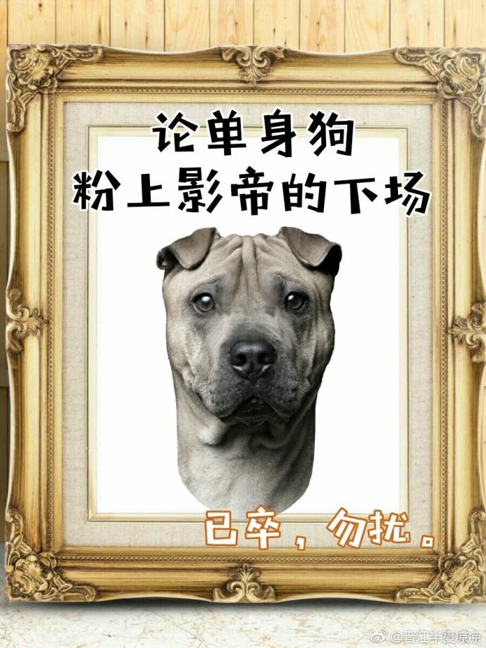 影帝酷爱撒糖！封面