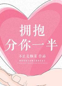 拥抱分你一半封面