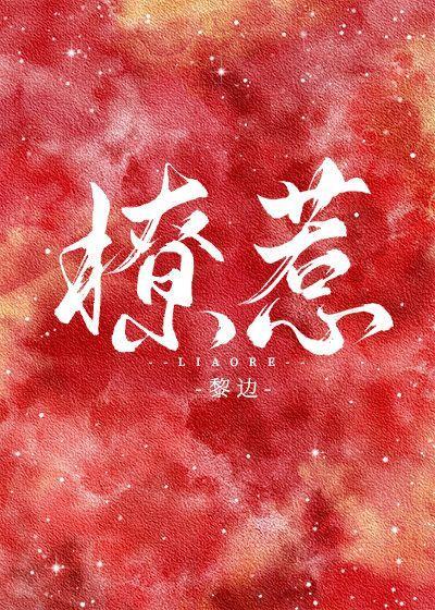 撩惹封面
