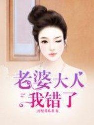 老婆大人我错了封面