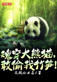 魂穿大熊猫，敢偷我竹笋！封面