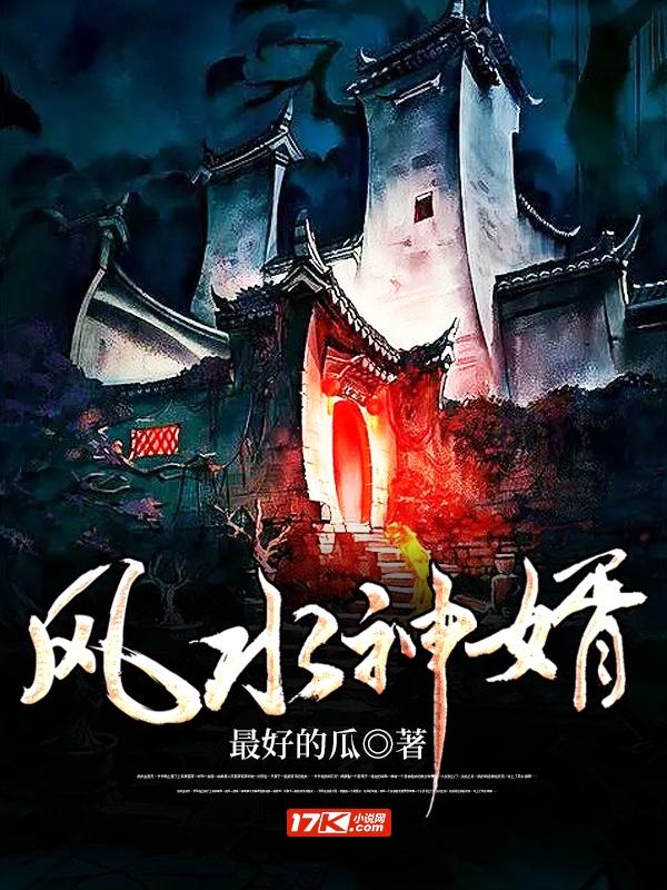 风水神婿封面
