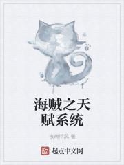 海贼之天赋系统封面