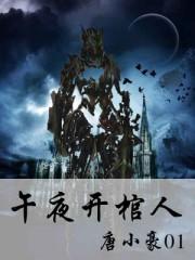 午夜开棺人封面