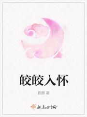 皎皎入怀封面