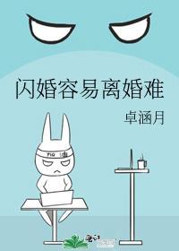 闪婚容易离婚难封面