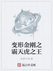 变形金刚之霸天虎之王封面