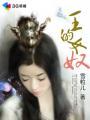 王的女奴封面