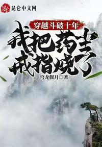 穿越斗破十年，我把药尘戒指烧了封面