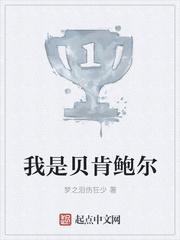 我是贝肯鲍尔封面