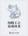 海贼王之最强冰龙封面