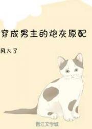 穿成男主的炮灰原配封面