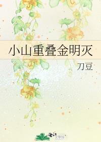 小山重叠金明灭封面