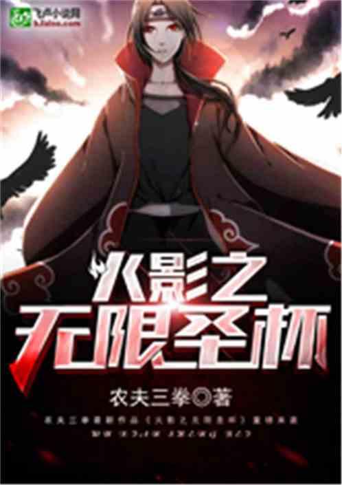 火影之无限圣杯封面