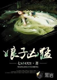 娘子凶猛封面