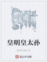 皇明皇太孙封面