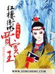 红楼衙内贾宝玉封面