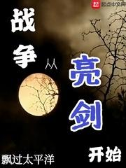 战争从亮剑开始封面