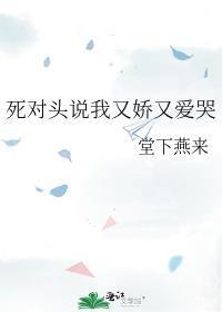死对头说我又娇又爱哭封面