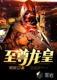 至尊龙皇封面