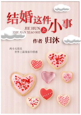 结婚这件小事封面
