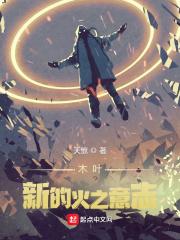 木叶：新的火之意志封面