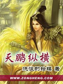 天鹏纵横封面