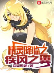 精灵降临之疾风之翼封面