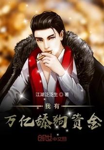 我有万亿舔狗资金封面