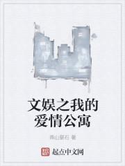 文娱之我的爱情公寓封面