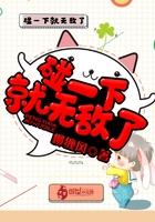 碰一下就无敌了封面
