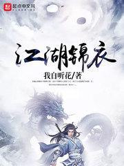 江湖锦衣封面
