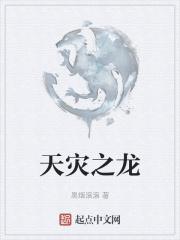 天灾之龙封面