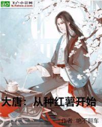 大唐：从种红薯开始封面
