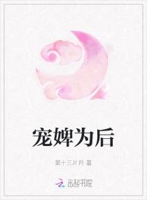 宠婢为后封面