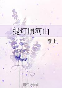 提灯照河山封面