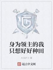 身为领主的我只想好好种田封面