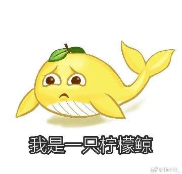 我可以包养你吗？封面