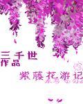 紫藤花游记封面
