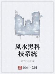 风水黑科技系统封面