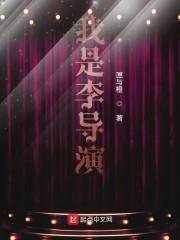 我是李导演封面