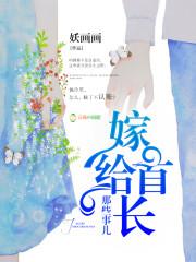 嫁给首长那些事儿封面
