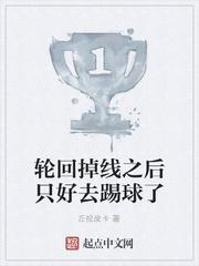 轮回掉线之后只好去踢球了封面