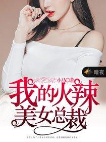 我的火辣美女总裁封面