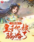 大明：陛下，皇子他被骗婚了封面